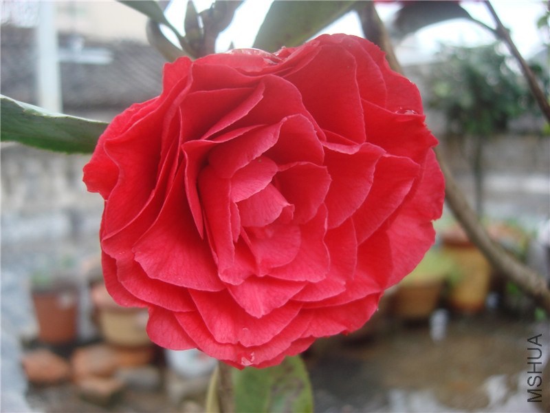 �뿪�� ����1