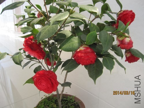 IMG_0857.jpg