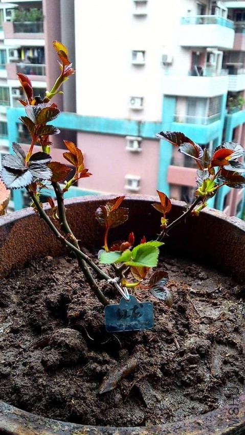 2014221082851.jpg