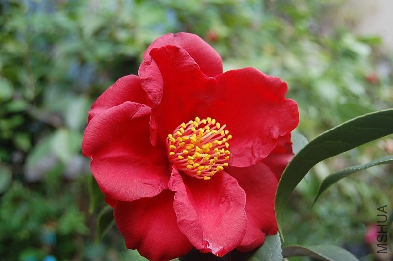 DSC_00020002.JPG