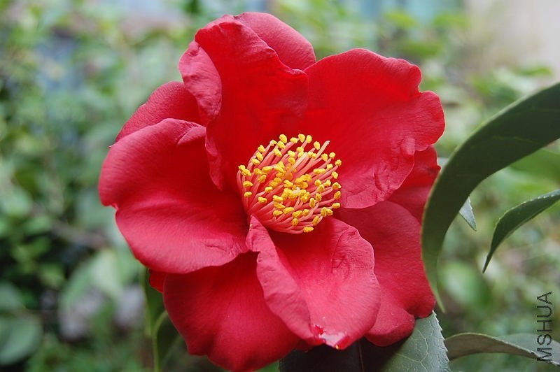 DSC_00040004.JPG