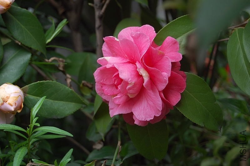 DSC_00090009.JPG