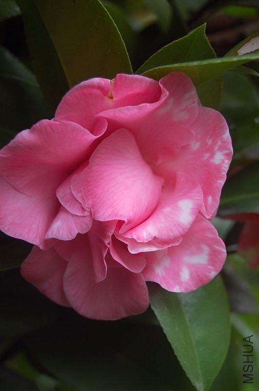 DSC_00140014.JPG