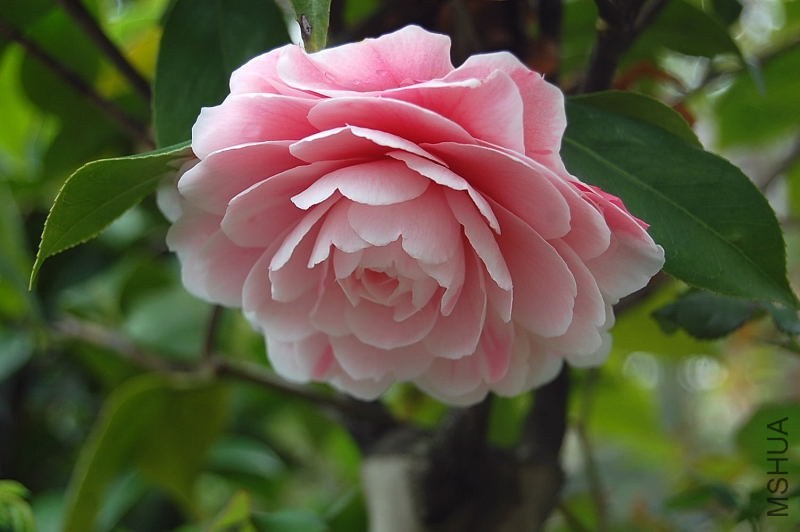DSC_00220022.JPG