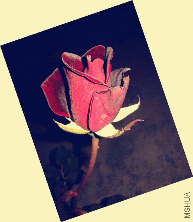 20140320_183327_����.jpg