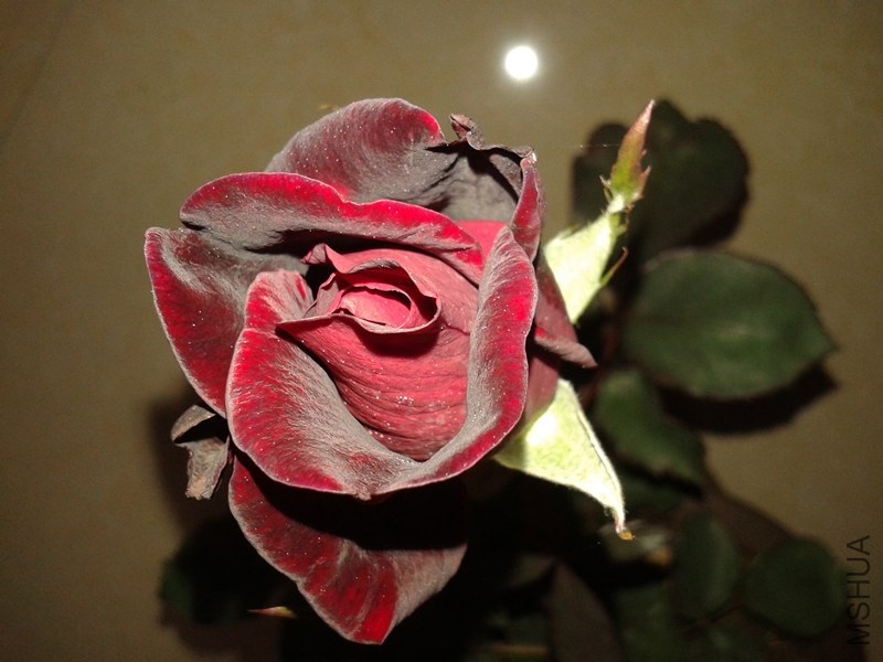 20140320_184022_����.jpg