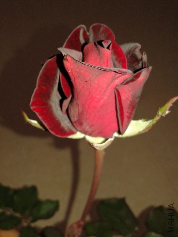 20140320_184440_����.jpg
