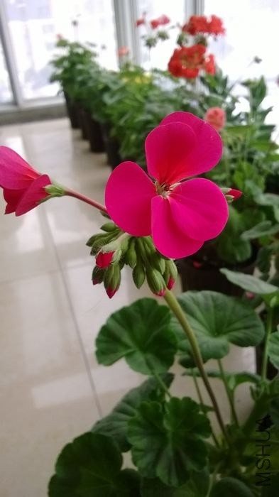 ��� �Ϻ�