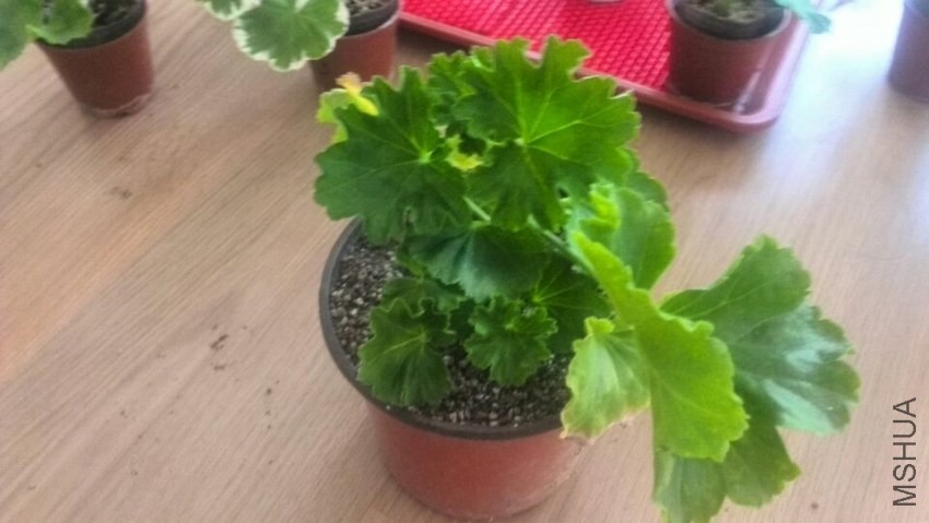 QQͼƬ20140321084955.jpg