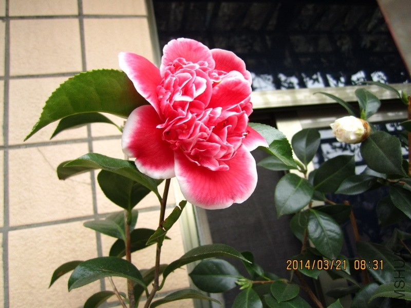 IMG_3997_������С.jpg