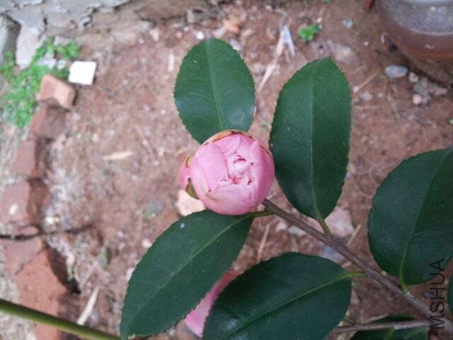 20140320��1.jpg