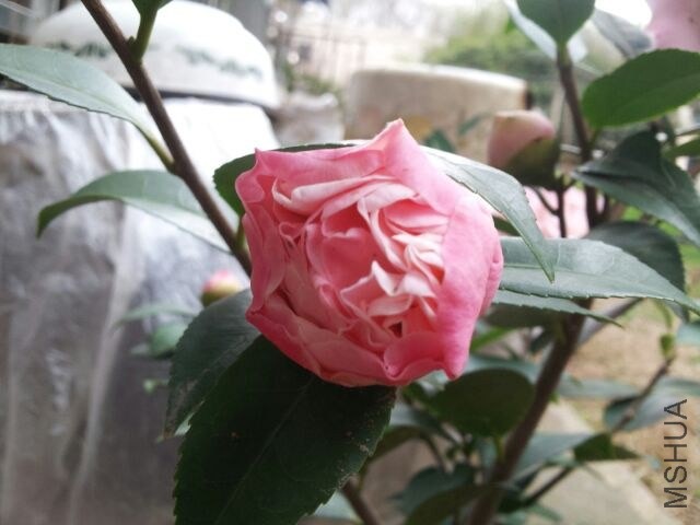 20140320��2.jpg