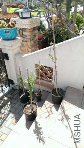 sIMG20140321143639.jpg