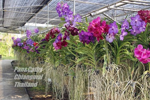 psb (8)_����.jpg