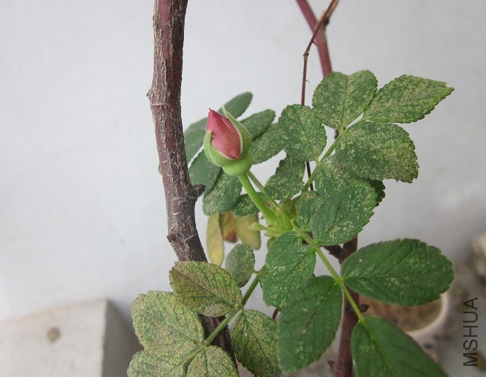 QQ��ͼ20140321160419.jpg