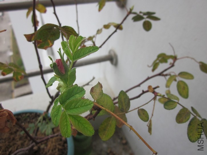 QQ��ͼ20140321160443.jpg