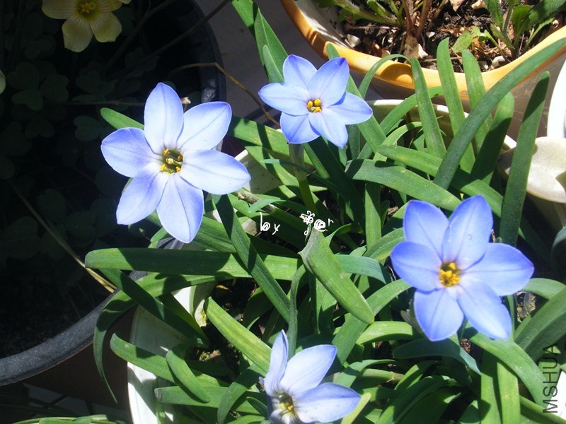 DSCF9548_����.jpg