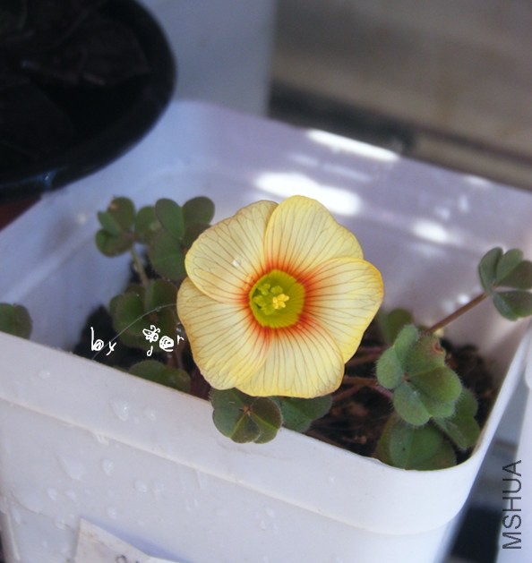 DSCF9546_����.jpg