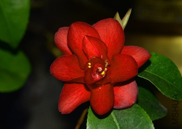_DSC9120_edited-1.jpg