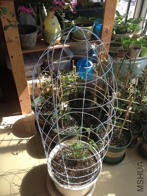 QQͼƬ20140322143116.jpg