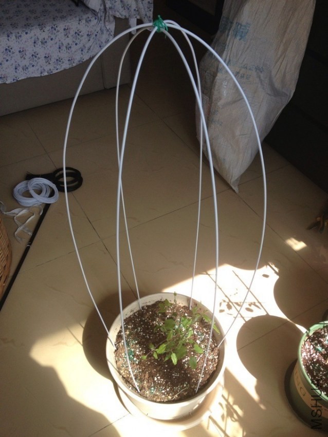 QQͼƬ20140322143122.jpg