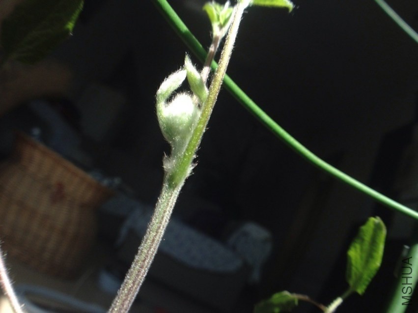 QQͼƬ20140322143132.jpg