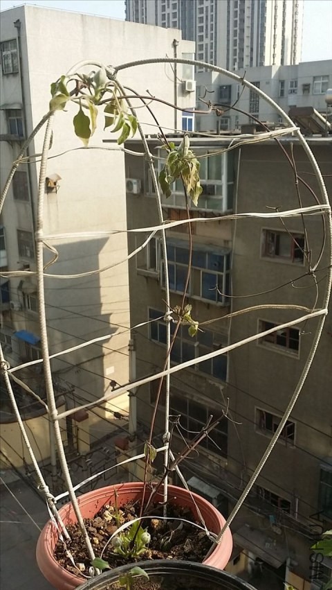 20140322_154623.jpg