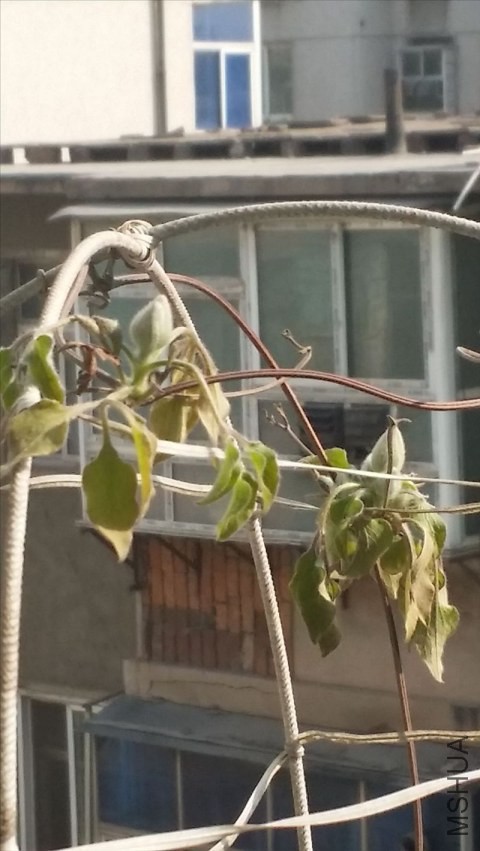 20140322_154707.jpg