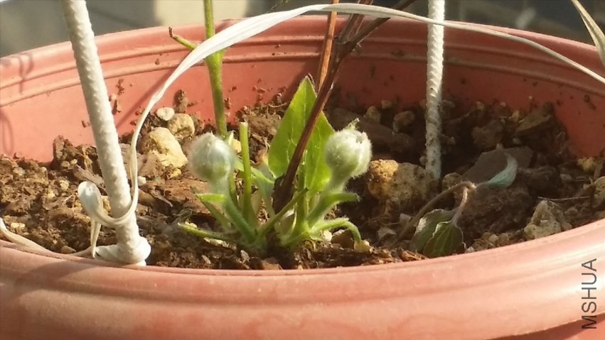 20140322_155457.jpg