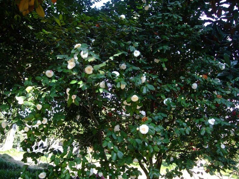 �϶�� 2014-3-22 105.jpg