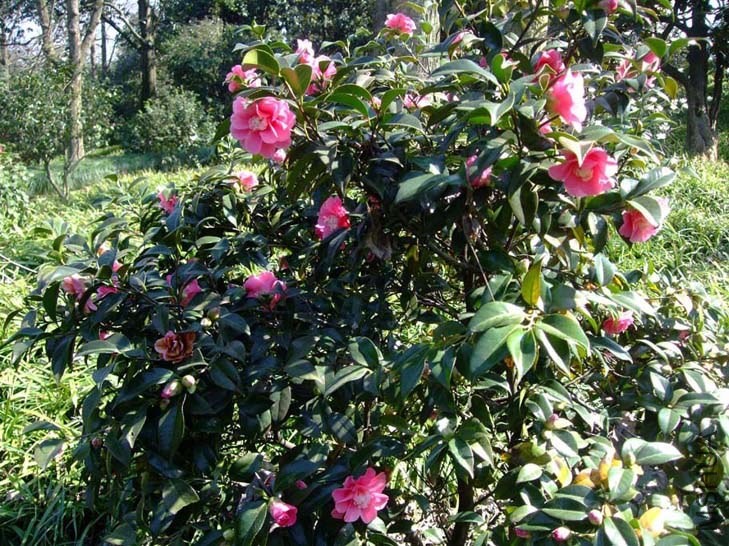 ������ 2014-3-22 085.jpg