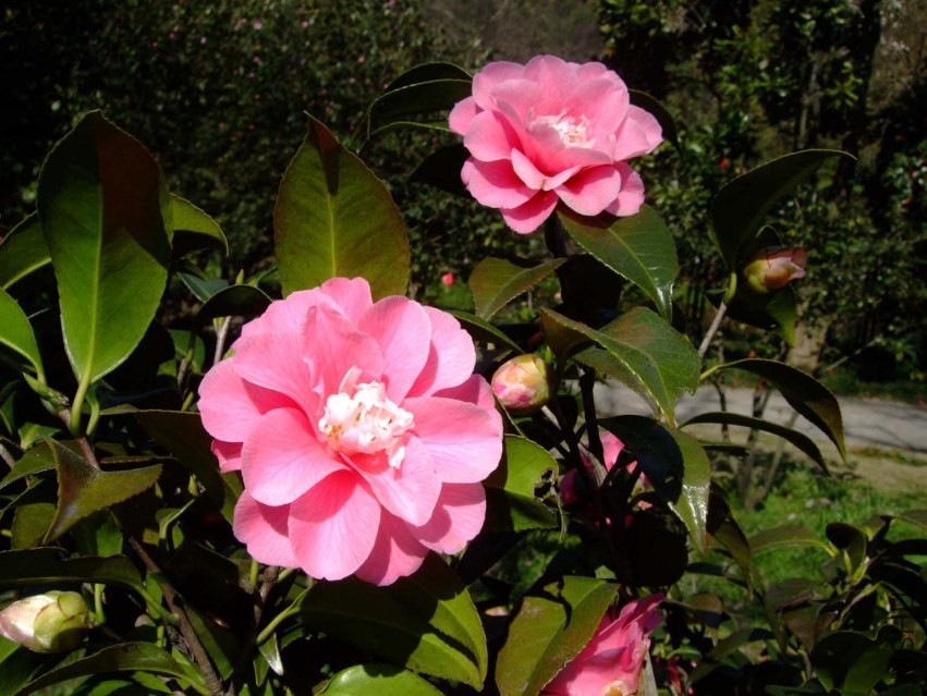������ 2014-3-22 086.jpg