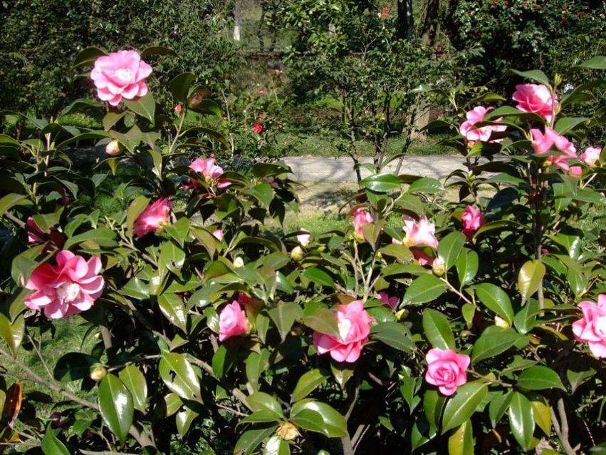 ������ 2014-3-22 087.jpg