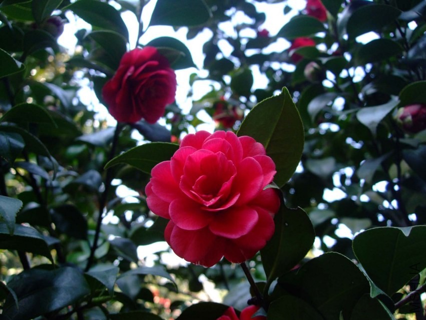 ��ʮ�� 2014-3-22 133.jpg