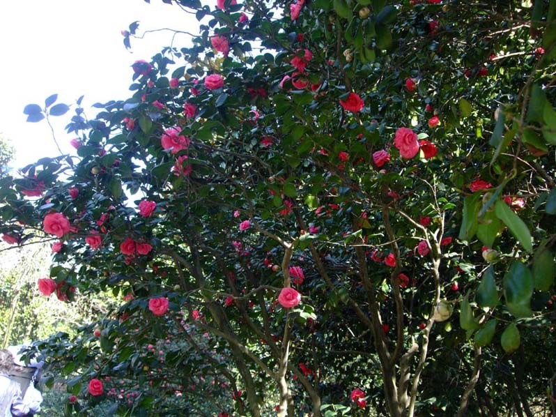 ��ʮ�� 2014-3-22 138.jpg