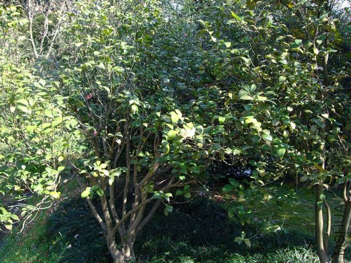 ������ 2014-3-22 127.jpg