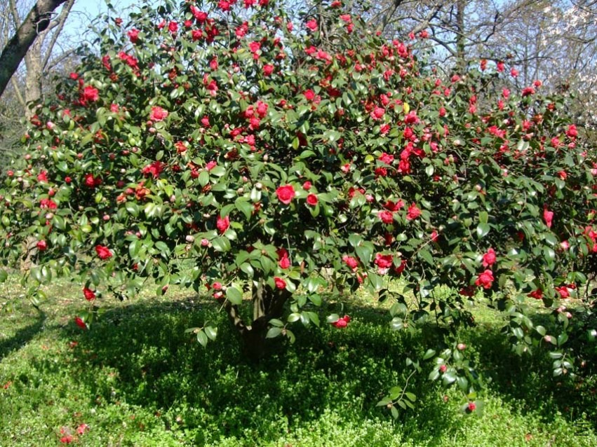 ������֦ 2014-3-22 123.jpg