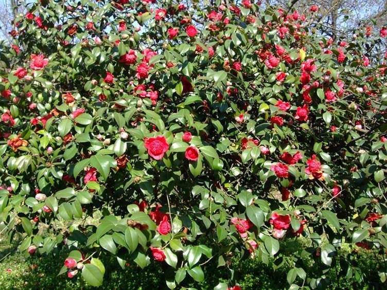 ������֦ 2014-3-22 118.jpg