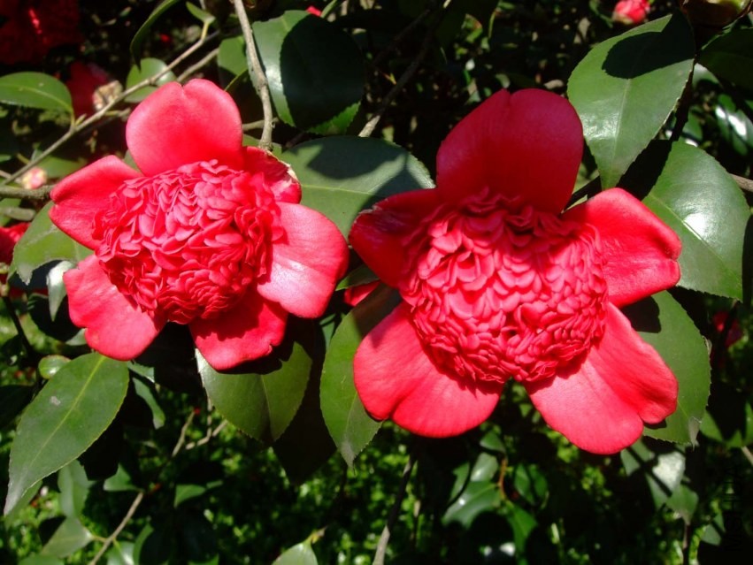 ������֦ 2014-3-22 119.jpg