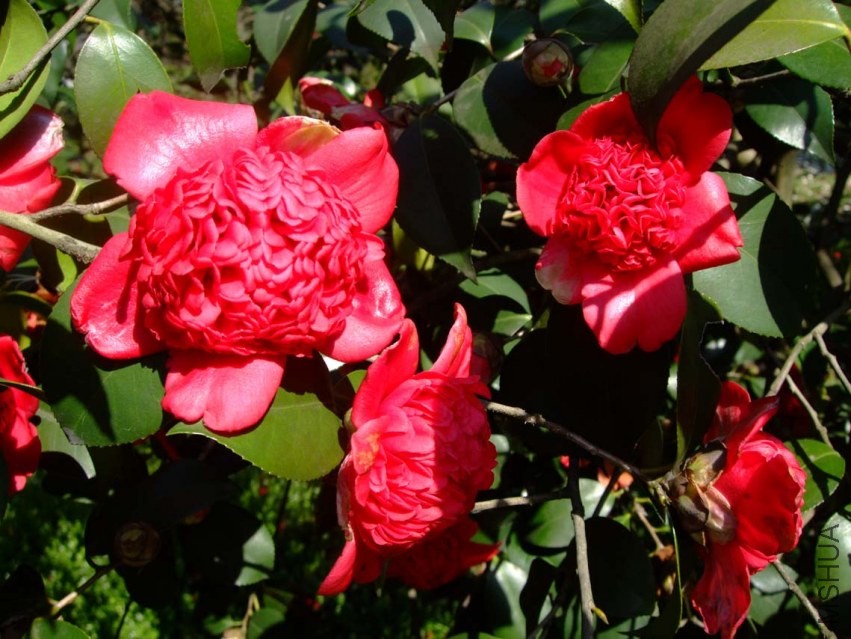 ������֦ 2014-3-22 120.jpg