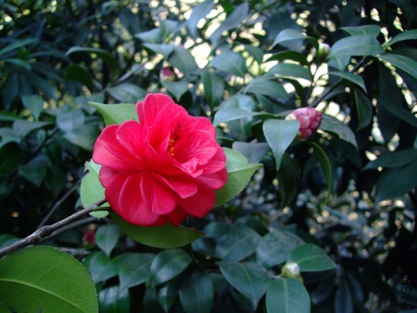 С���� 2014-3-22 136.jpg