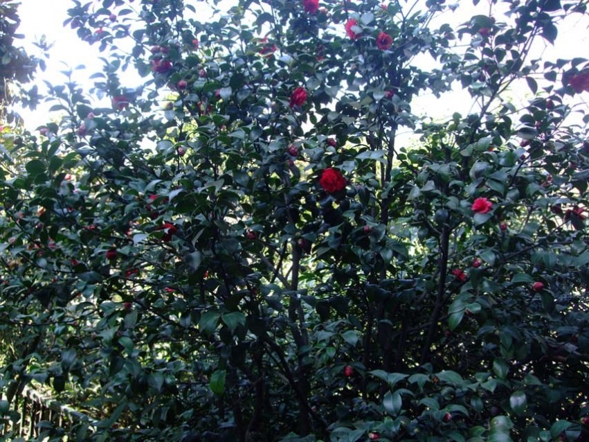 С���� 2014-3-22 134.jpg