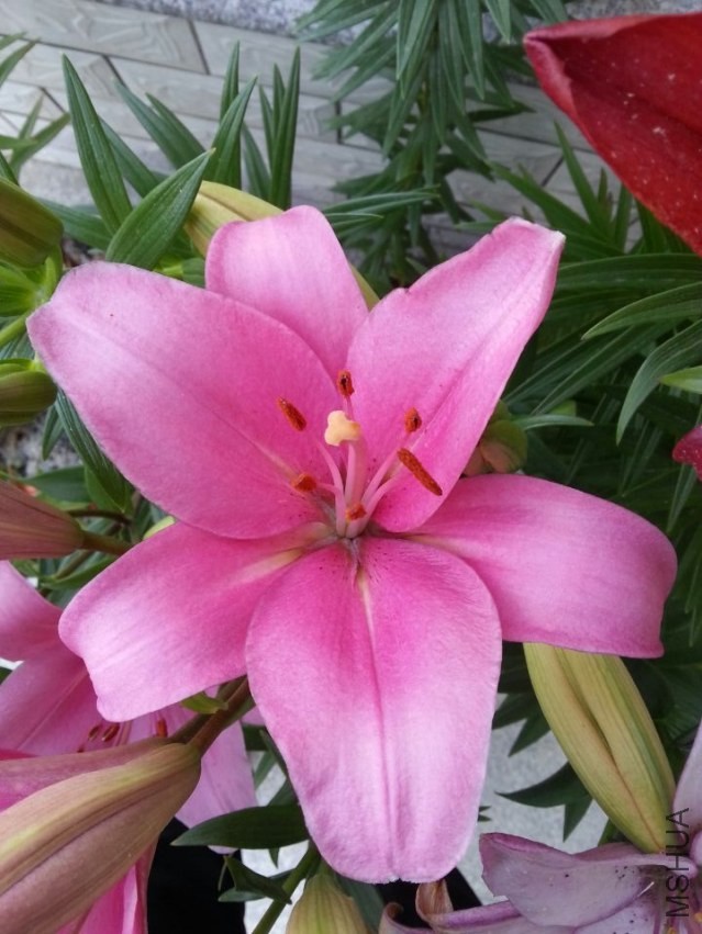 ���ֵ��� (1).jpg