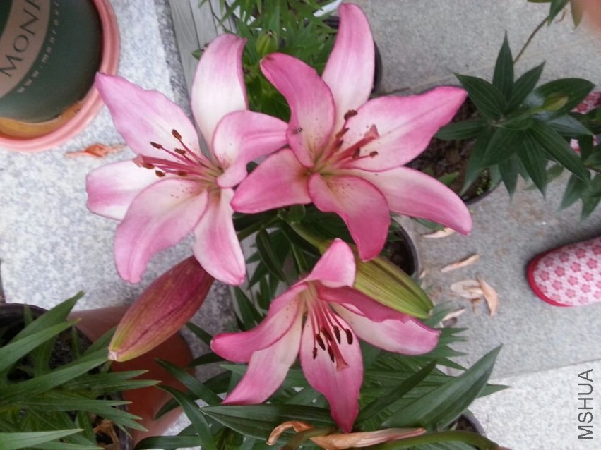 ���� (3).jpg