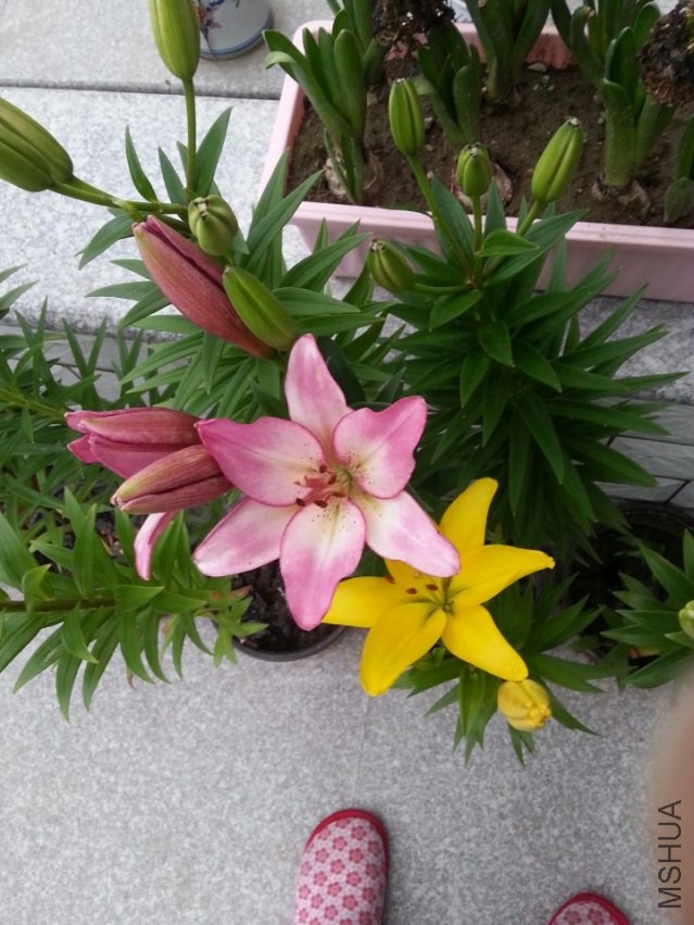 ���� (4).jpg