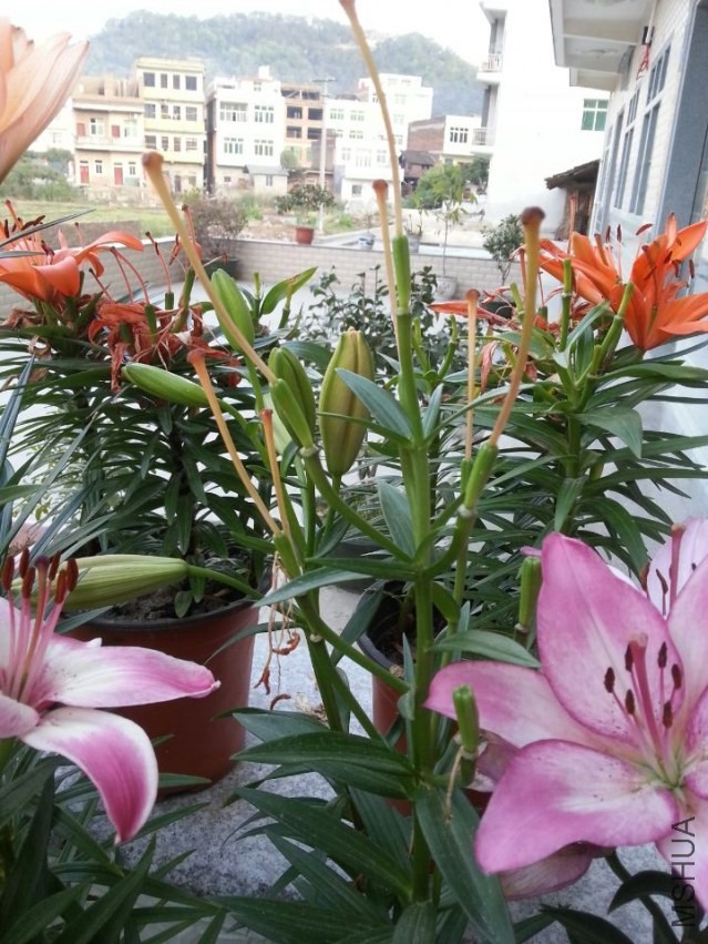 ���� (3).jpg