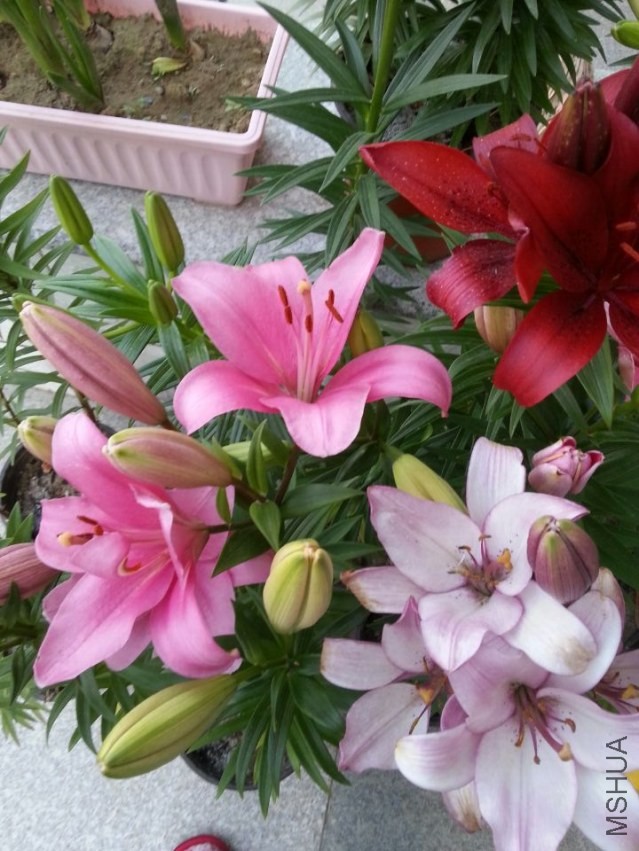 ���� (4).jpg