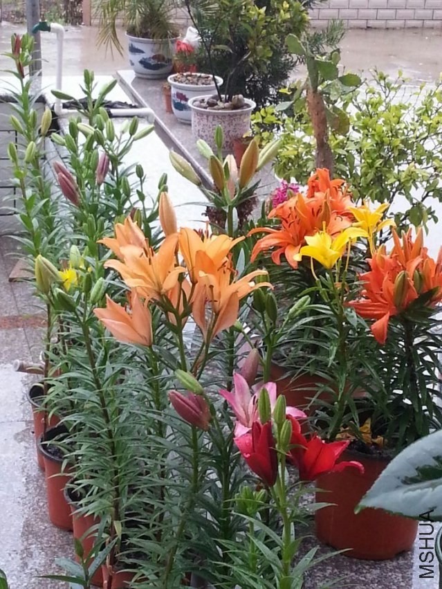 ���� (6).jpg