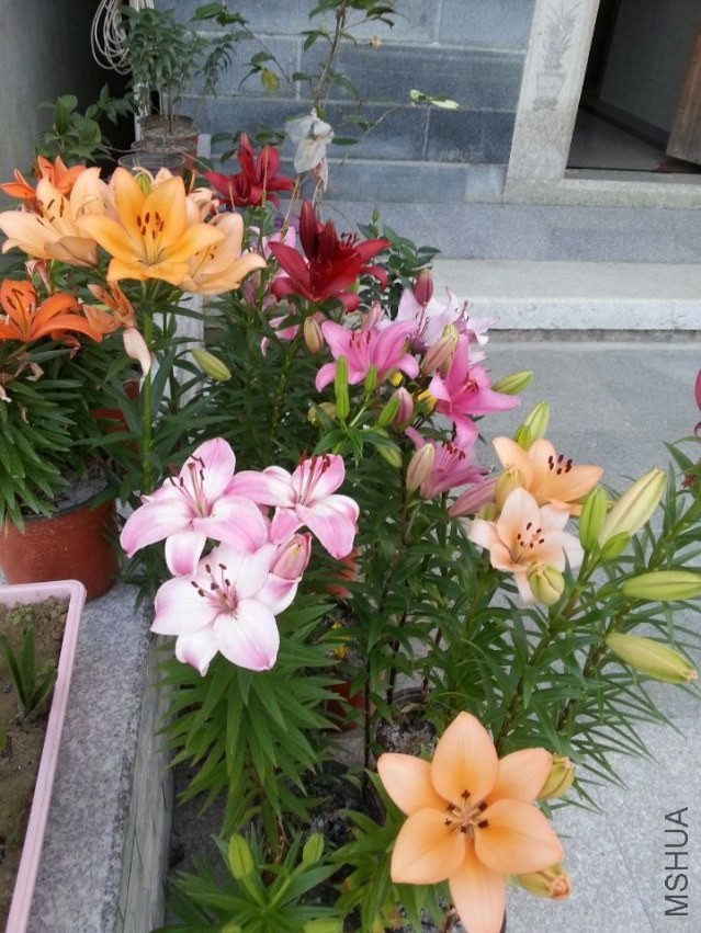 ���� (8).jpg