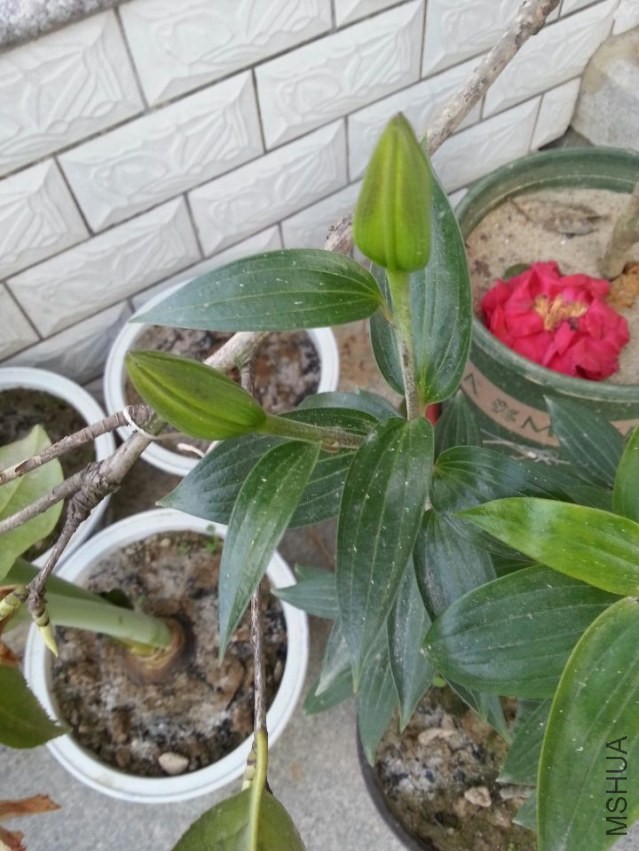 ��Ǩ�� (1).jpg